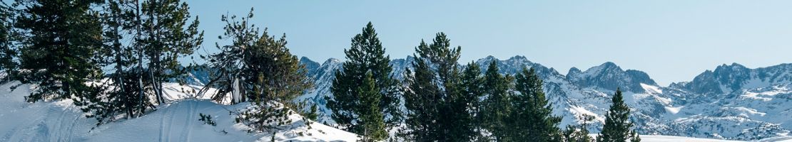 Descubre la guía “Guide LUDERNA Baqueira and Valle de Arán | Winter 25-26”