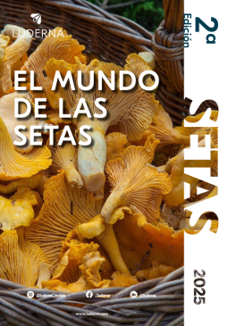 Guía El mundo de las setas I Otoño 2025