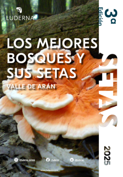 Guía Los Mejores Bosques del Valle de Arán y sus Setas I Otoño 2025