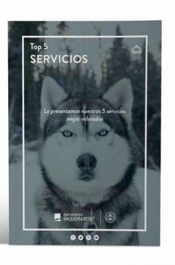 Top 5 Servicios