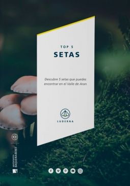 El muno de las setas