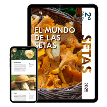 eBook Guía El mundo de las setas I Otoño 2025