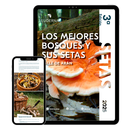 bosques ebook