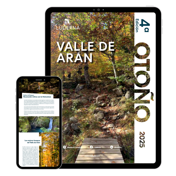 Mock up Otoño 2025