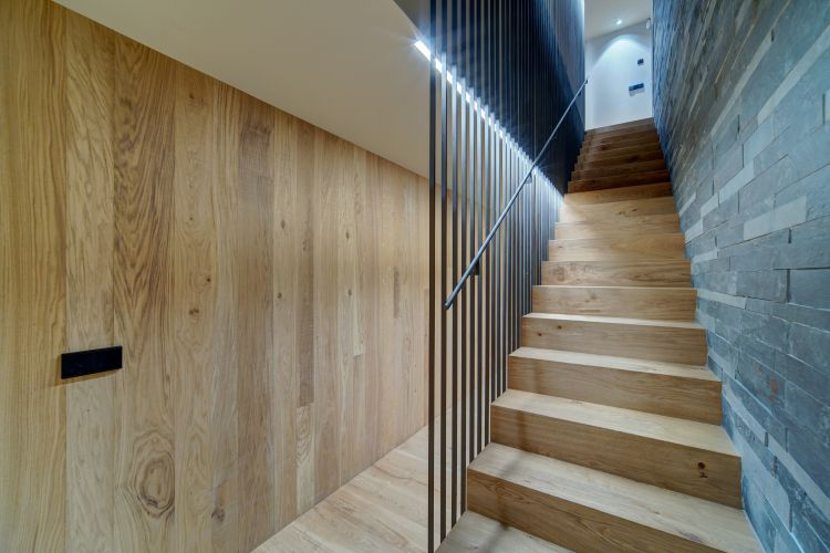 Casa Pleta Riu Timok