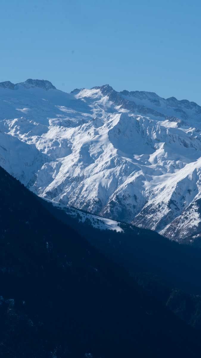 Préparez votre Appareil